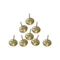 Chinche amarillo caja 1000 unid (pack 2 sets)