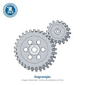 Engranage DSM10-100S (repuesto) (pack 2 sets)